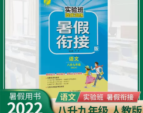 实验班提优训练暑假衔接版初中2022年秋新...
