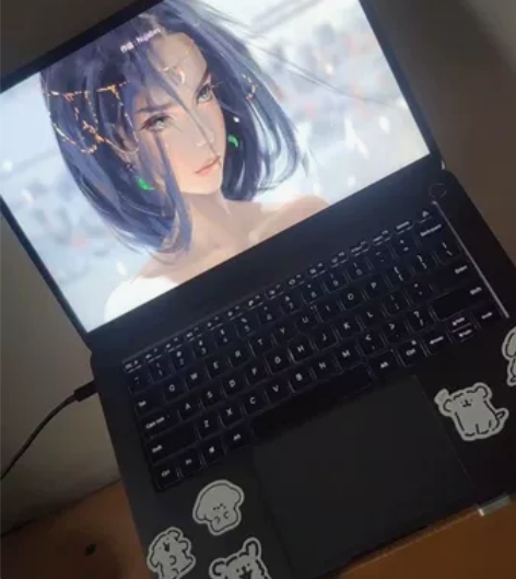 小米笔记本Pro X 14 一月份购入的，...
