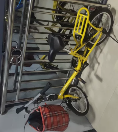 孩子大人都可以骑的自行车，可折叠 感兴趣的...