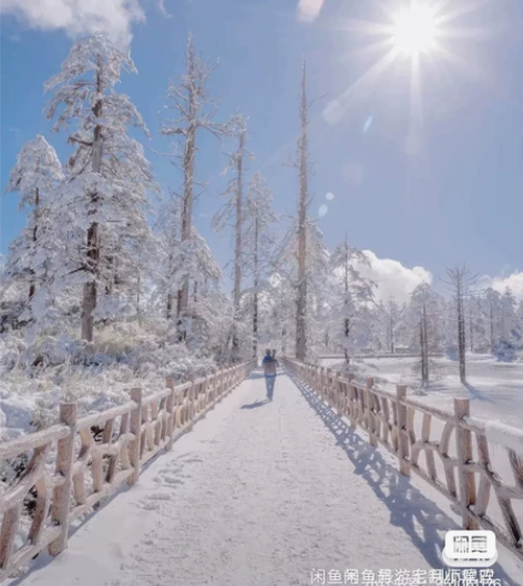 瓦屋山景区自驾套票195元/人 周末200...