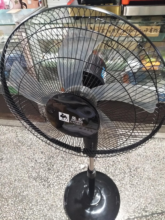门店倒闭清货，处理10台骆驼落地扇  台扇...