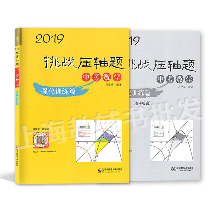 2019挑战压轴题 中考数学 强化训练篇 ...