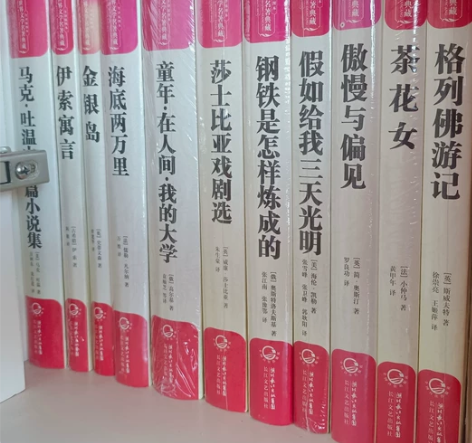 文学小说图书 全新未开封～ 格列佛游记｜茶...