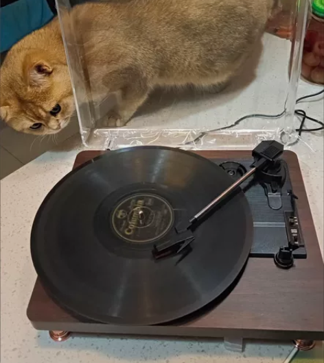 【黑胶唱片机复古留声机-全新】 入门黑胶唱...