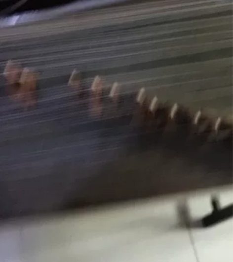 古筝。娃娃学琴买的。学习忙不过来。。没有地...
