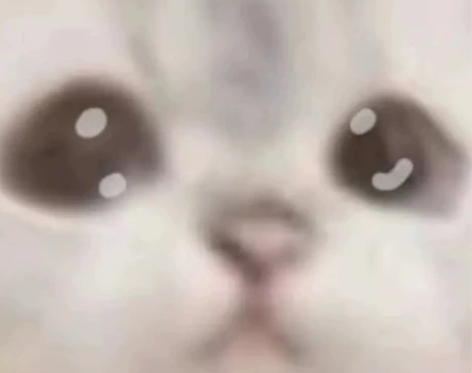 英语1v1四六级雅思初高中英语工作旅游成人...