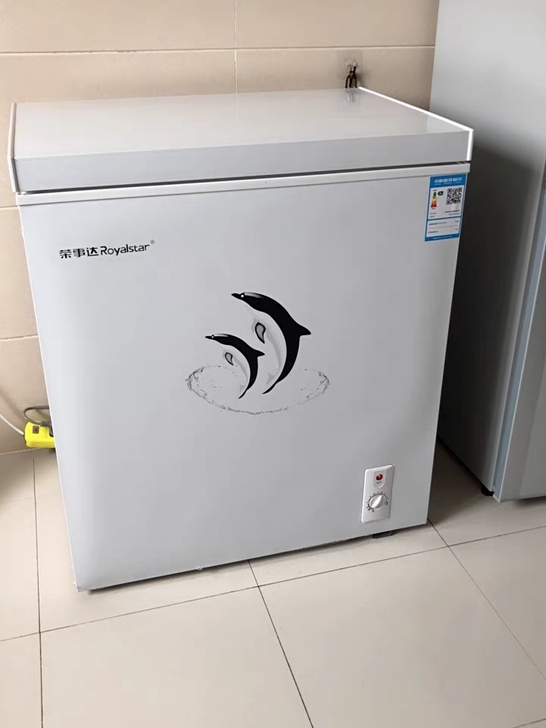 荣事达175L小冷柜家用商用大容量冷冻柜迷...