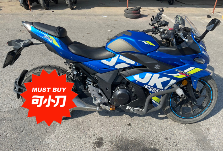 Suzuki/铃木GSX250R-A，19...