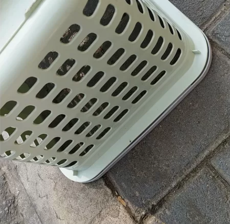 篮子10 感兴趣的话点“我想要”和我私聊吧...