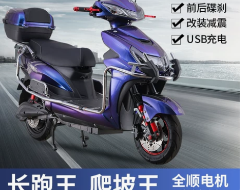 大黄蜂电动车/外卖长跑王/超长续航700里...