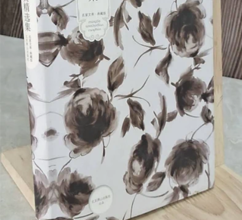 正版二手 汪国真精选集 北京燕山出版社 正...