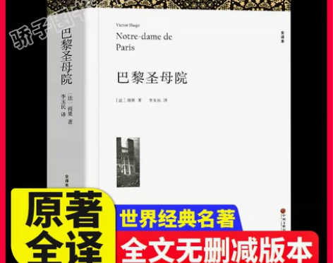 巴黎圣母院 复活巴黎圣母院全译本带注释附插...