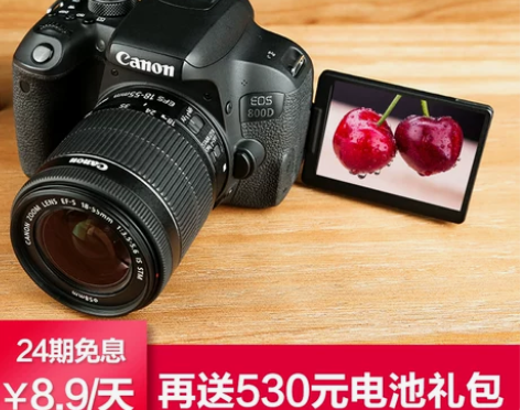 【24期免息】佳能850D 800D蚂蚁摄...