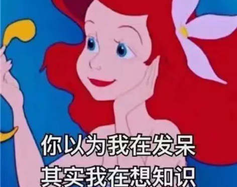 计算机：c，c++，python，math...