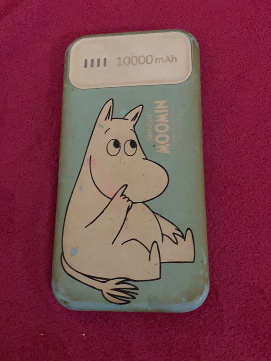 闲置充电宝1万毫安