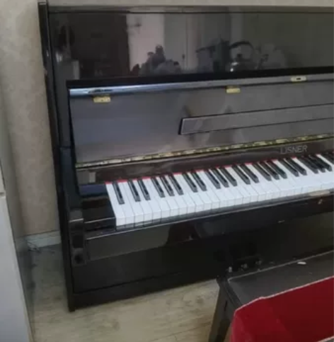 星海丽丝娜钢琴 运行完好无维修,很长时间没...