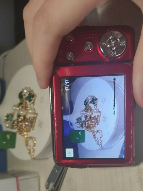 宝丽来复古ccd数码相机，高端相机。