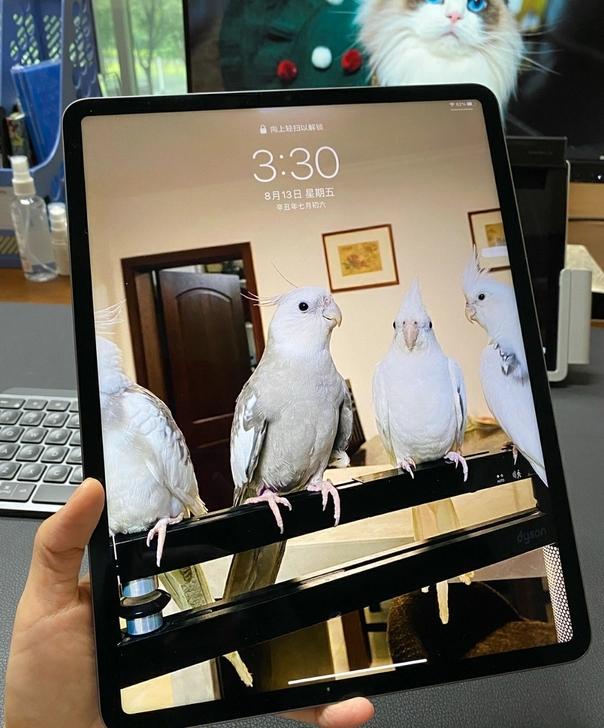 考研，ipad2020   ipad第八代...
