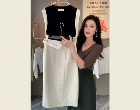 欧货轻奢高级感职业通勤背心裙子套装气质女神...