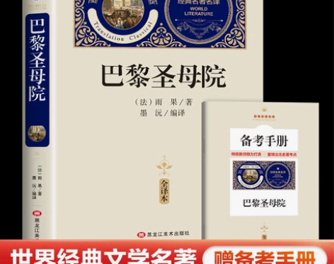 巴黎圣母院 巴黎圣母院经典 译本赠备考手册...