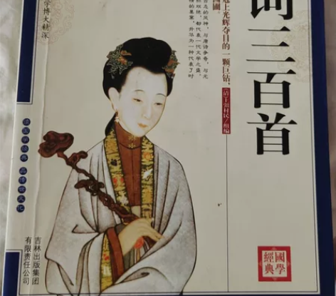 宋词三百首 感兴趣的话点“我想要”和我私聊...