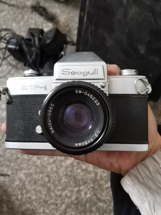 海鸥df-1单反相机，成色如图，有皮套，镜...