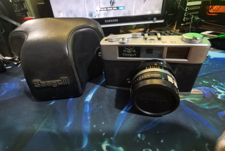 seagull  海鸥205    海鸥相...