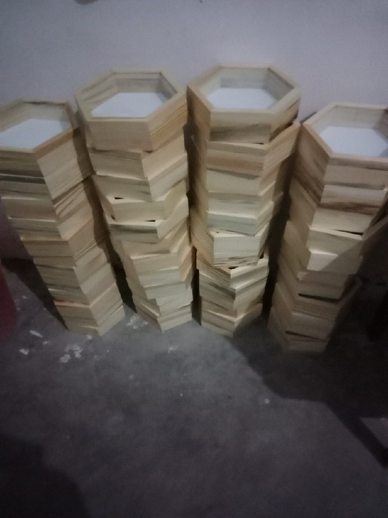 昆虫实木标本盒,装饰盒可定做任意尺寸感兴趣...