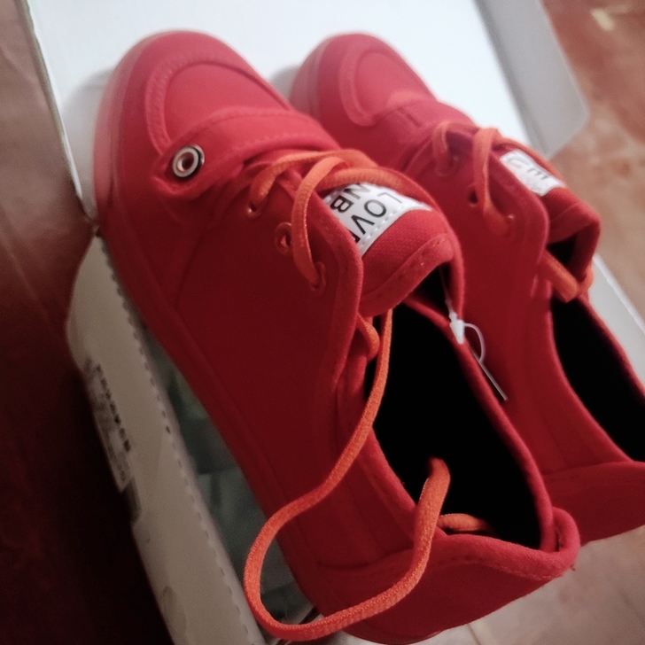 全新帆布鞋，一双低帮一双高帮，都是36码，...