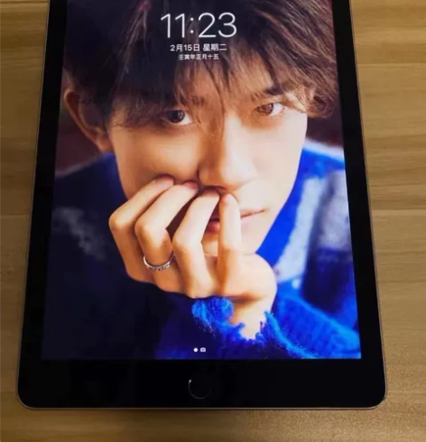 毕业着急出款mini4带笔一起出!考研、画...