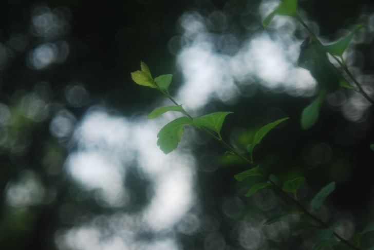 米葡萄 Meopta 75/4.5 手动镜头