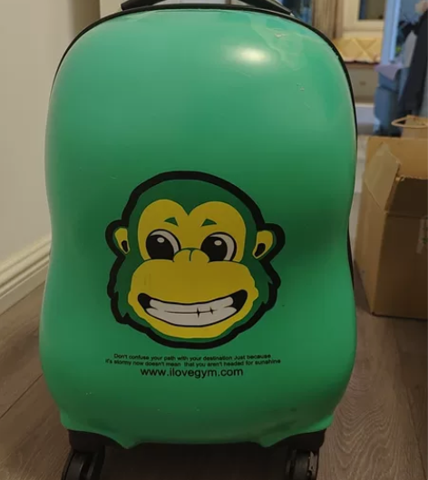 可爱儿童拉杆箱～ 感兴趣的话点“我想要”和...