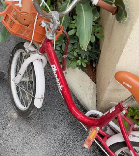 凤凰儿童自行车,16寸,适合7岁以上的孩子...