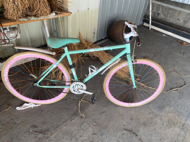 自行车死飞，100块钱自己过来骑