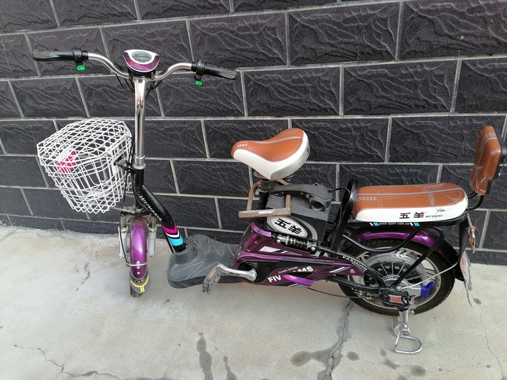 五羊48v电动车，车很新，一直放置，电池放...
