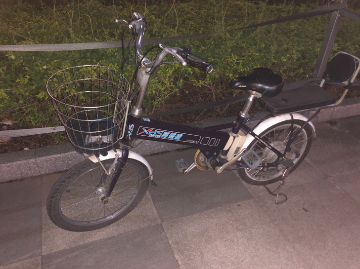 喜德盛传奇1号电动自行车，铝车架，电池放太...