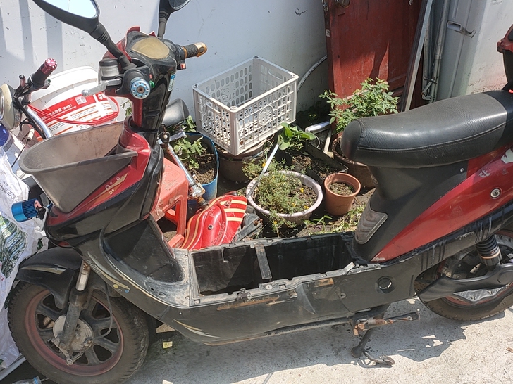 60v电动车有电瓶