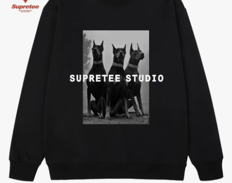 秋冬潮牌时尚休闲卫衣男宽松ins暗黑杜宾