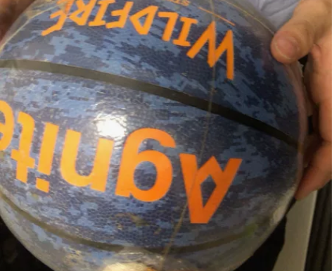 得力安格耐特篮球，全新，但有点瑕疵，皮掉了...