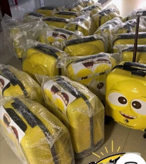 公司年会的时候买多了,剩余20多个行旅箱便...