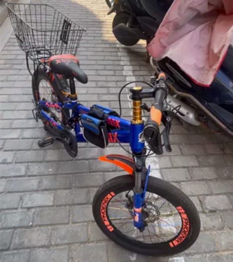 凤凰儿童自行车，山地车。 基本全新，孩子大...