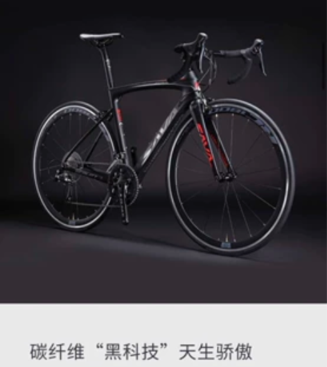 全新Sava公赛，全车碳纤维 当时买来备赛...