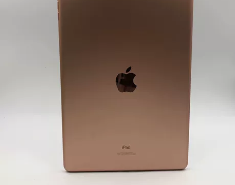 8成新【看剧 看书】苹果 iPad 8代 ...
