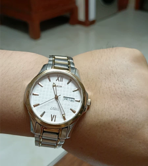 雷诺男士机械手表 正品镂空全自机械男士手表...