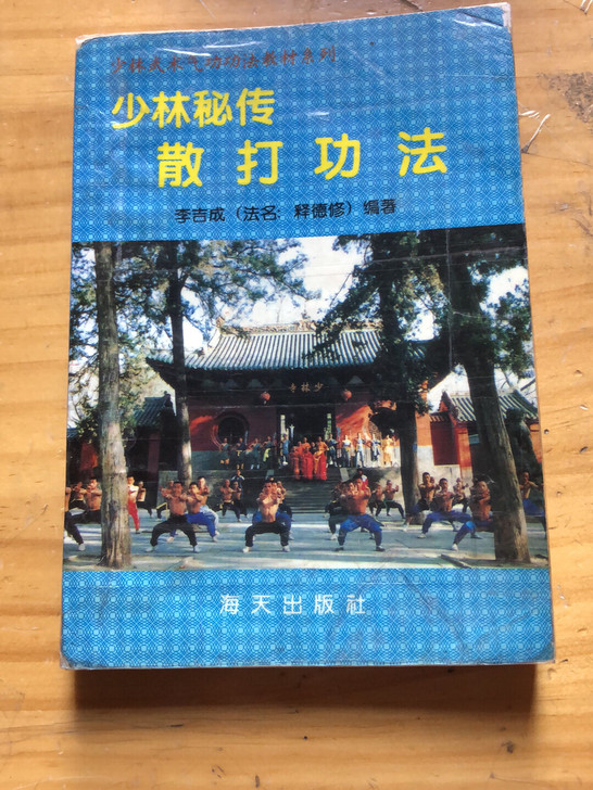 少林秘传散打功法,释得修(李吉成)绝版,原...