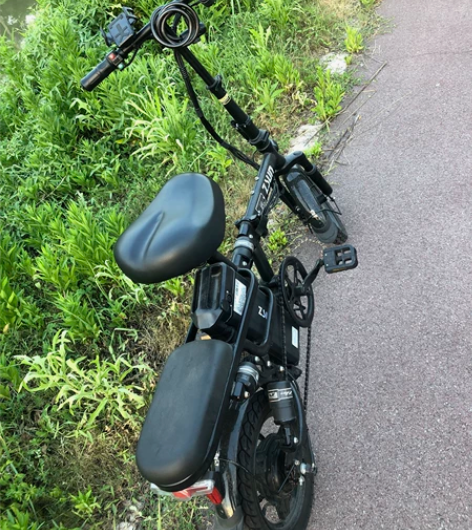 ZSUN电动自信车 送车载篮子 打气筒 充...