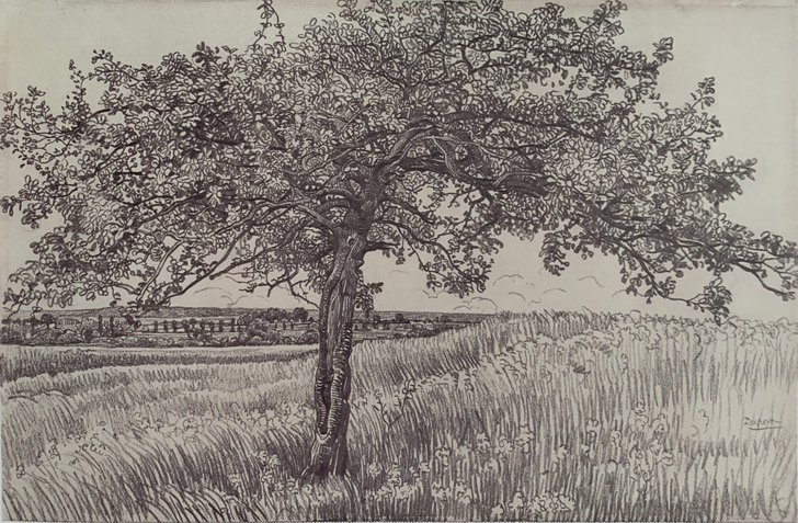 大师风景素描,有希施金、梵高等大师的风景素...