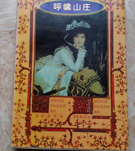 呼啸山庄 小说闲置出售。 书店买的。自己看...