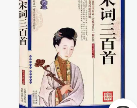 现货正版 宋词三百首 文白对照 宋词三百首...