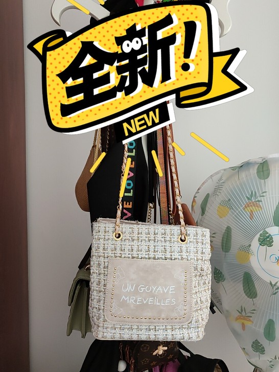 女士单肩斜挎包百搭大容量，没有使用过，现闲...